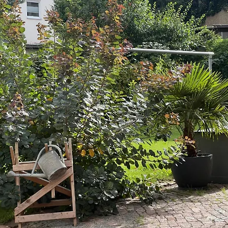 Kerstins Lieblingsdomizil * Oelsnitz (Erzgebirge)