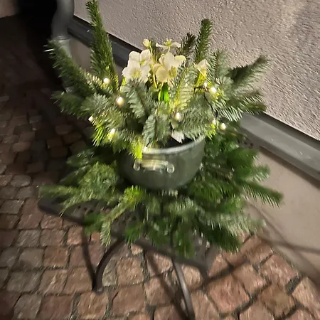 Kerstins Lieblingsdomizil * Oelsnitz (Erzgebirge)